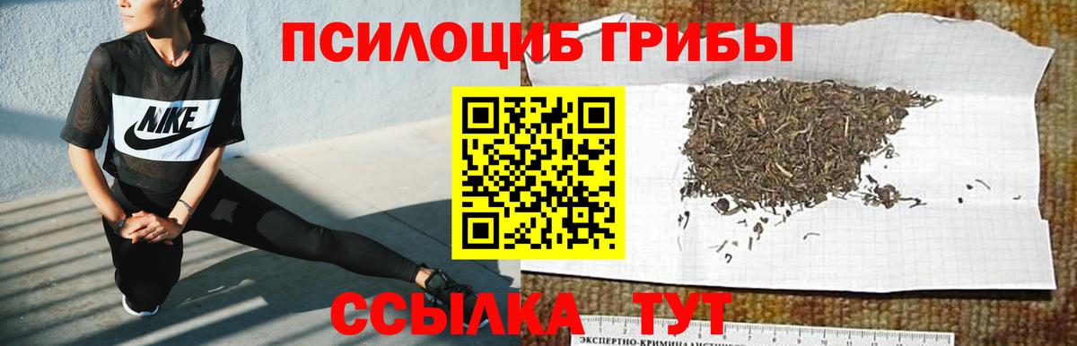 Галлюциногенные грибы мицелий  Вход с VPN  Качканар 