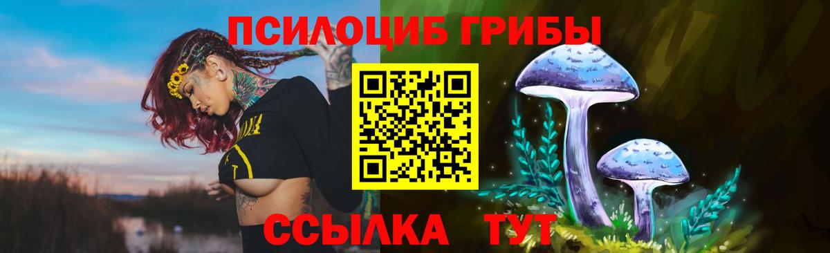 Галлюциногенные грибы GOLDEN TEACHER Качканар